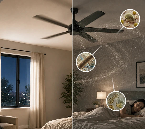 Everyday Fresh Ceiling Fan Filter